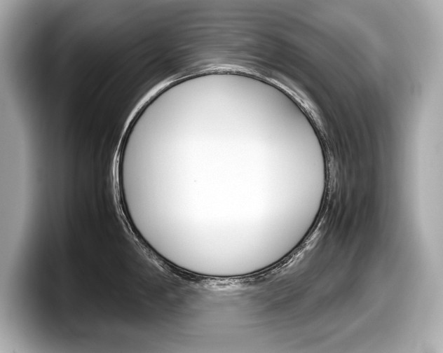 X0000099231198200804241223