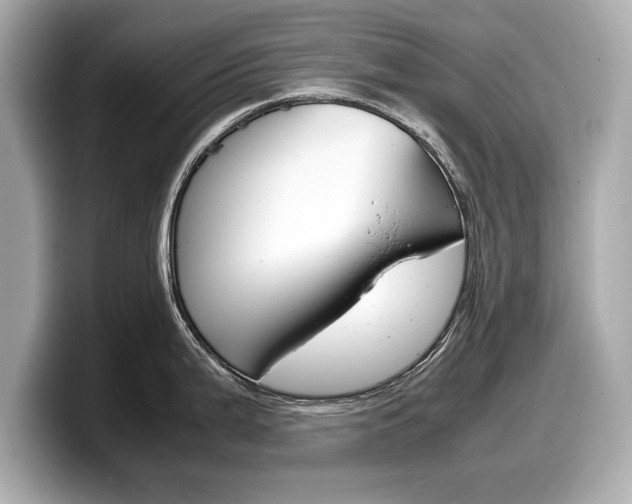 X0000099231199200804241223