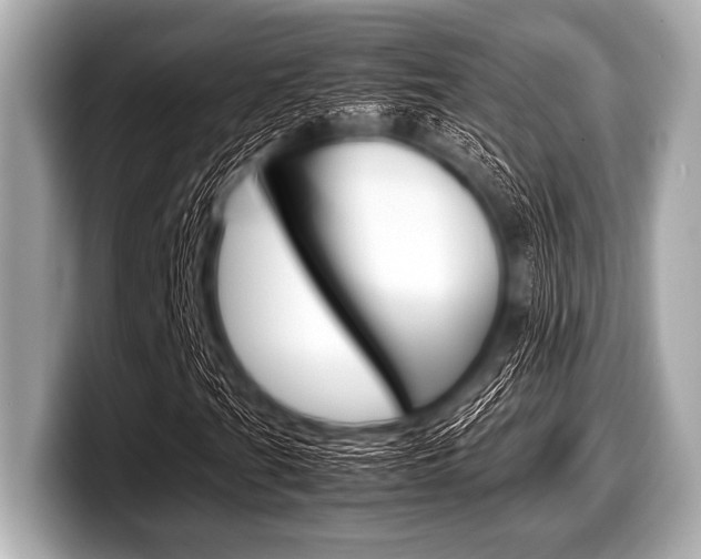 X0000099231201200804241222