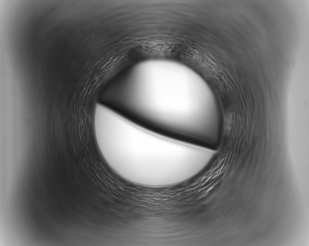 X0000099231202200804241222