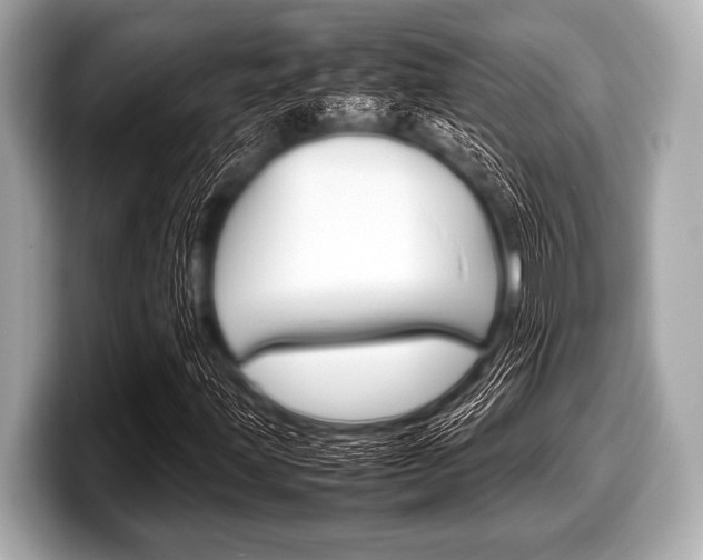 X0000099231203200804241222