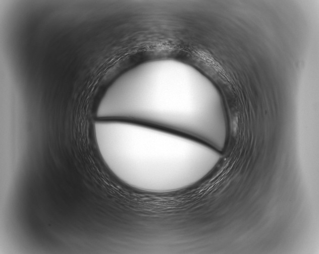 X0000099231204200804241222