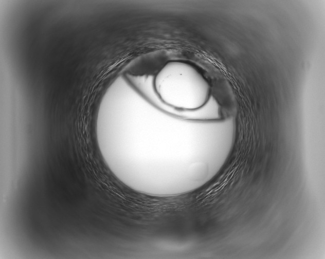 X0000099231205200804241222
