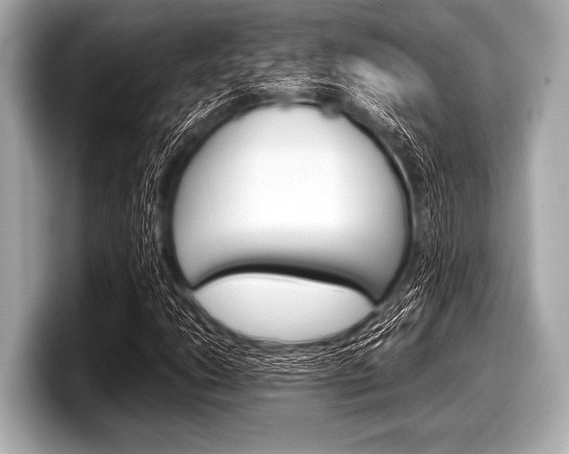 X0000099231206200804241222