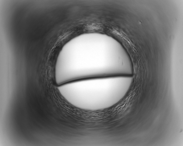 X0000099231207200804241222