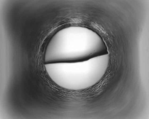 X0000099231208200804241222