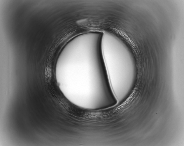X0000099231209200804241222