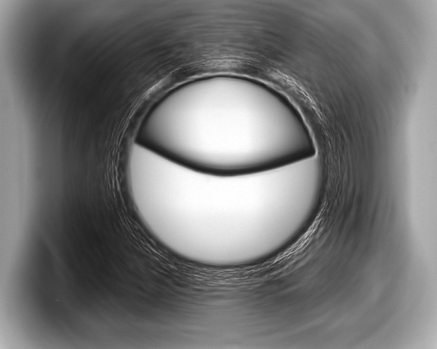 X0000099231210200804241222