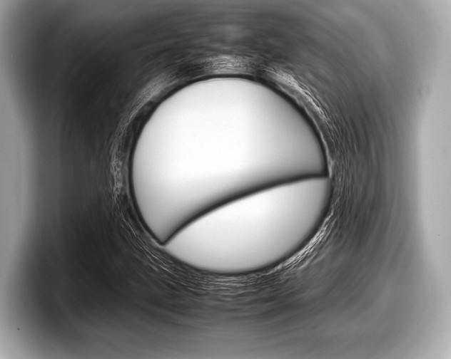 X0000099231211200804241222