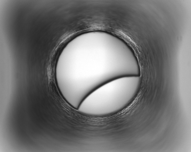 X0000099231215200804241222