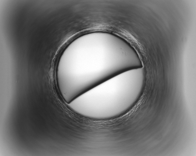 X0000099231216200804241222