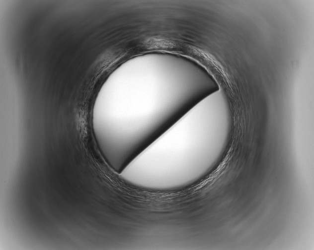 X0000099231217200804241222