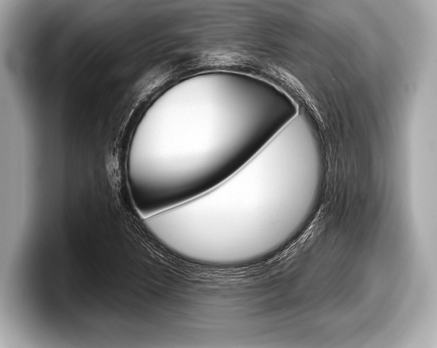 X0000099231218200804241222