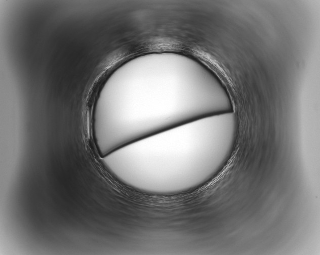 X0000099231219200804241222