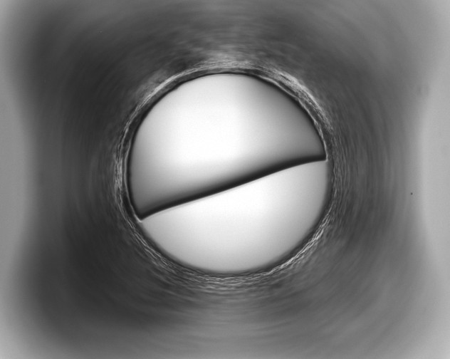 X0000099231220200804241222