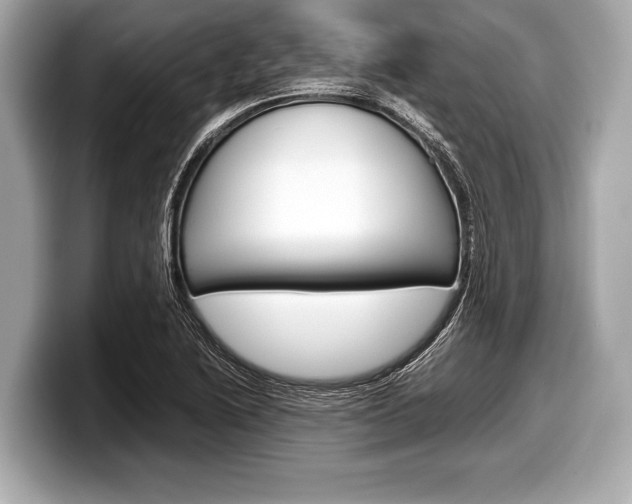X0000099231222200804241222