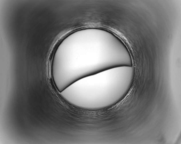X0000099231223200804241222