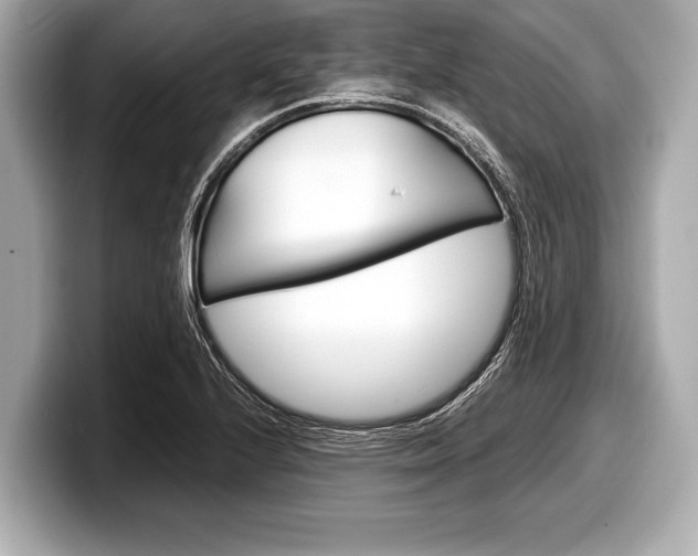 X0000099231224200804241222