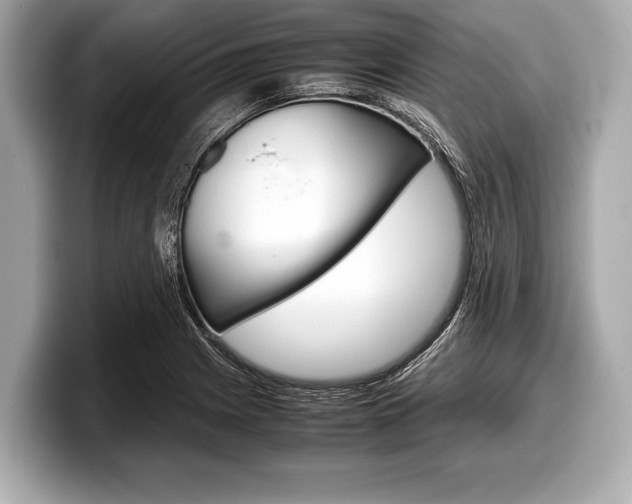 X0000099231225200804241222