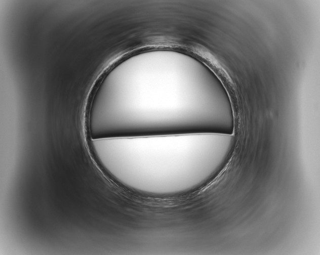 X0000099231229200804241222