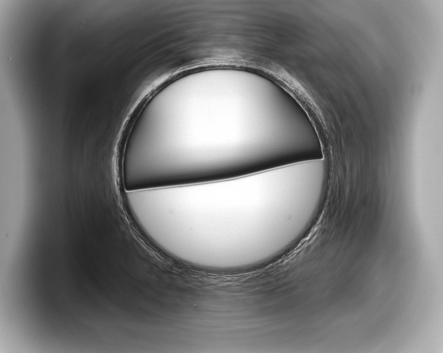 X0000099231230200804241222