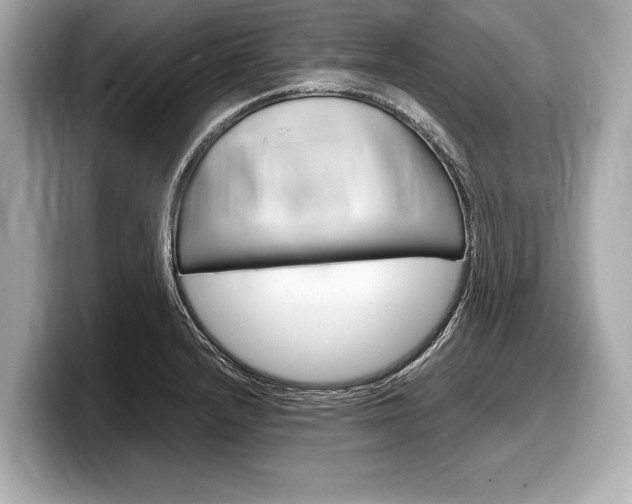 X0000099231232200804241222