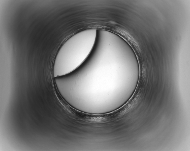 X0000099231233200804241222