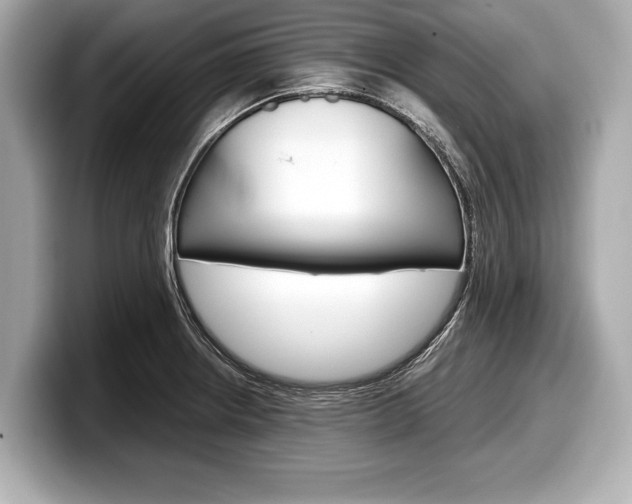 X0000099231234200804241222