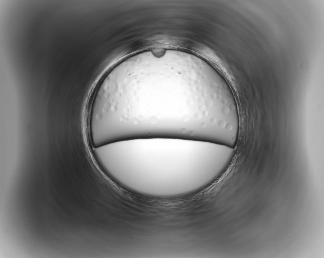 X0000099231235200804241222