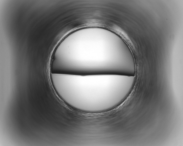 X0000099231236200804241222