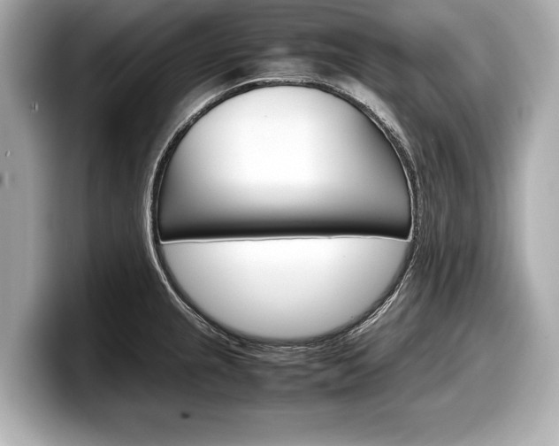 X0000099231237200804241222