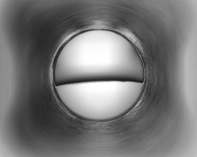 X0000099231238200804241222