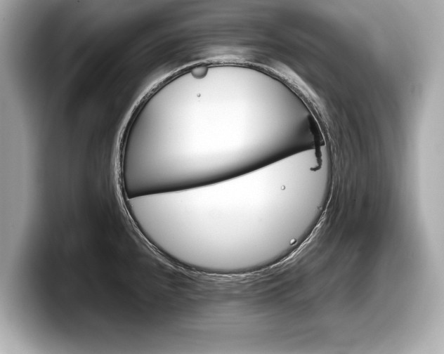 X0000099231240200804241222
