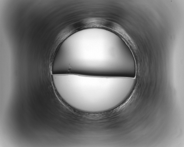 X0000099231241200804241222