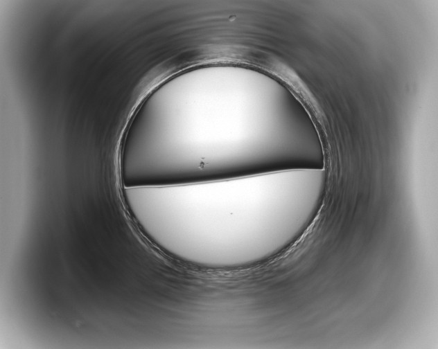 X0000099231242200804241222