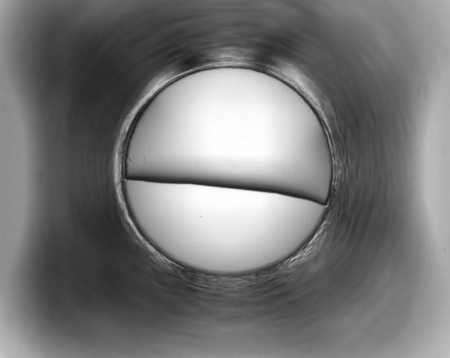 X0000099231243200804241222