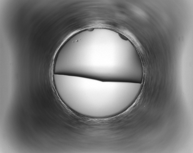 X0000099231244200804241222
