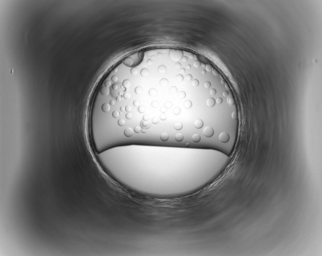 X0000099231245200804241222