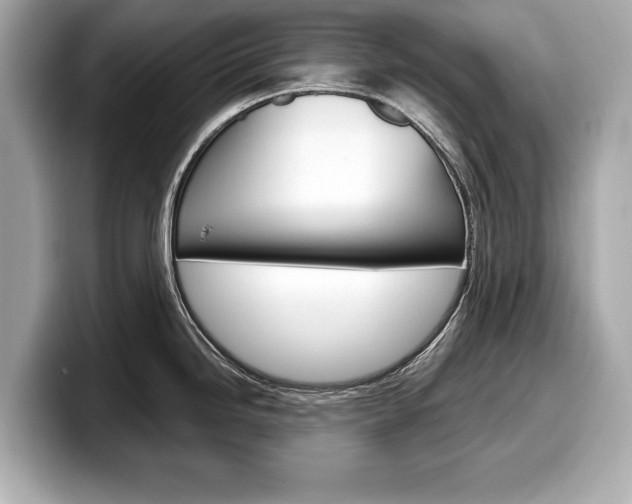 X0000099231246200804241222