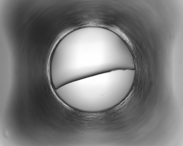 X0000099231247200804241223