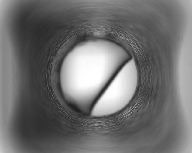 X0000099231249200804241222