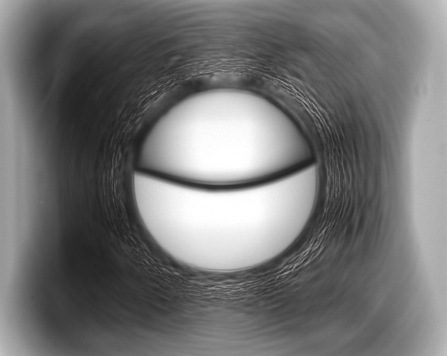 X0000099231250200804241222