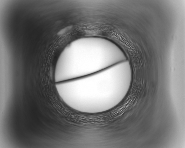 X0000099231251200804241222