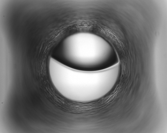 X0000099231252200804241222