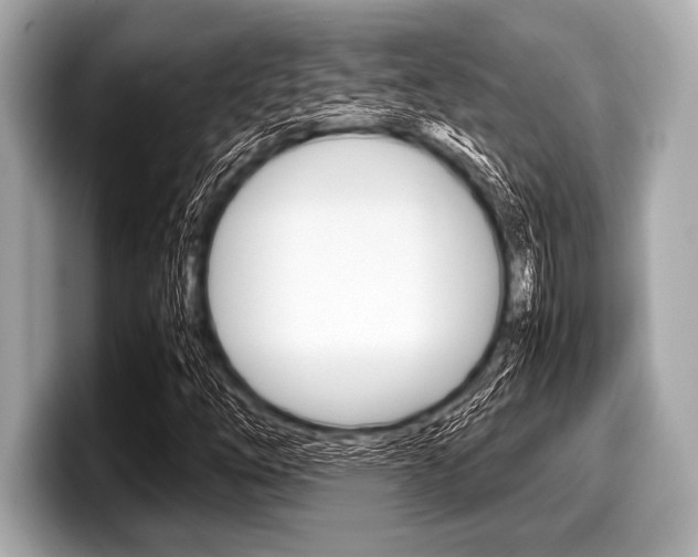 X0000099231254200804241222