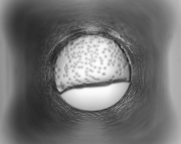 X0000099231255200804241222