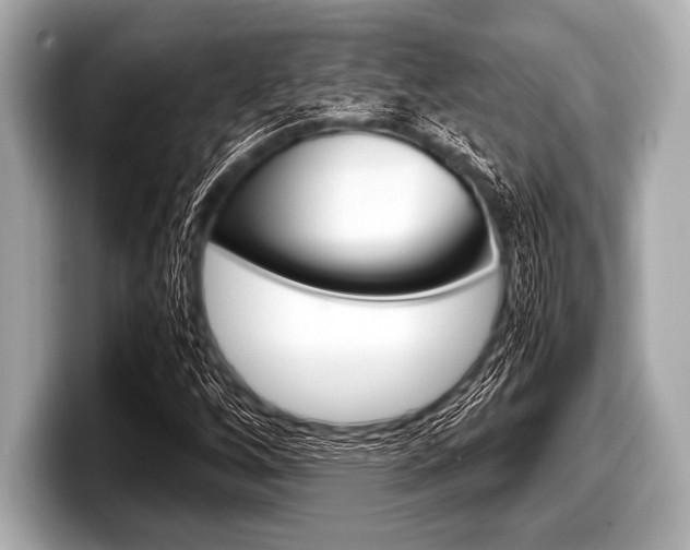 X0000099231256200804241222