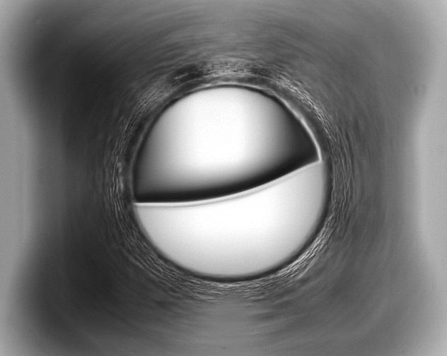 X0000099231257200804241222