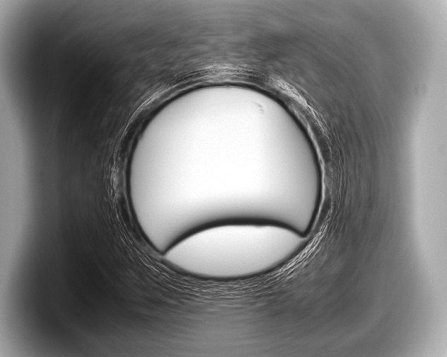 X0000099231259200804241222