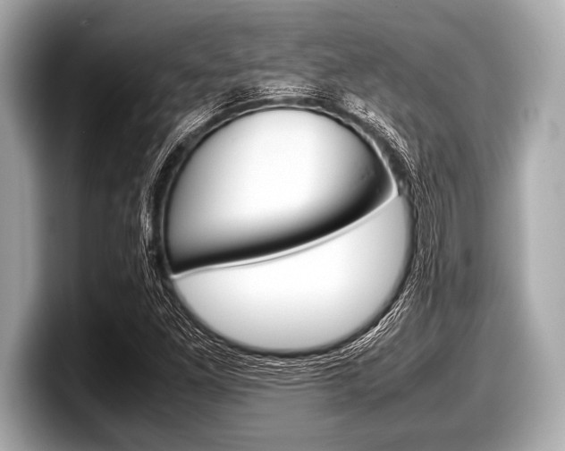 X0000099231261200804241222